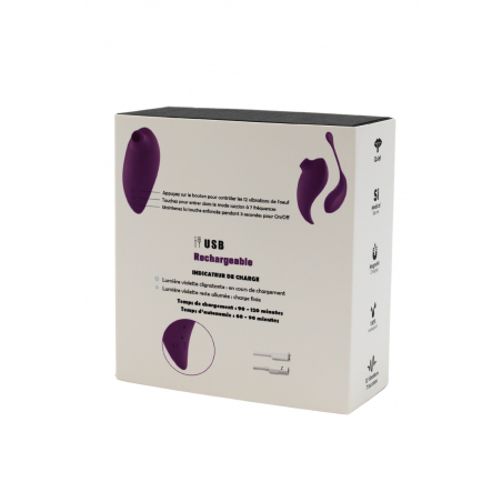 Vibromasseur clitoridien violet avec son œuf vibrant à distance