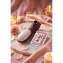 Stimulateur Clitoridien Teddy Bear Pocket Pleasure – 10 Modes & 3 Vitesses | Silicone Doux